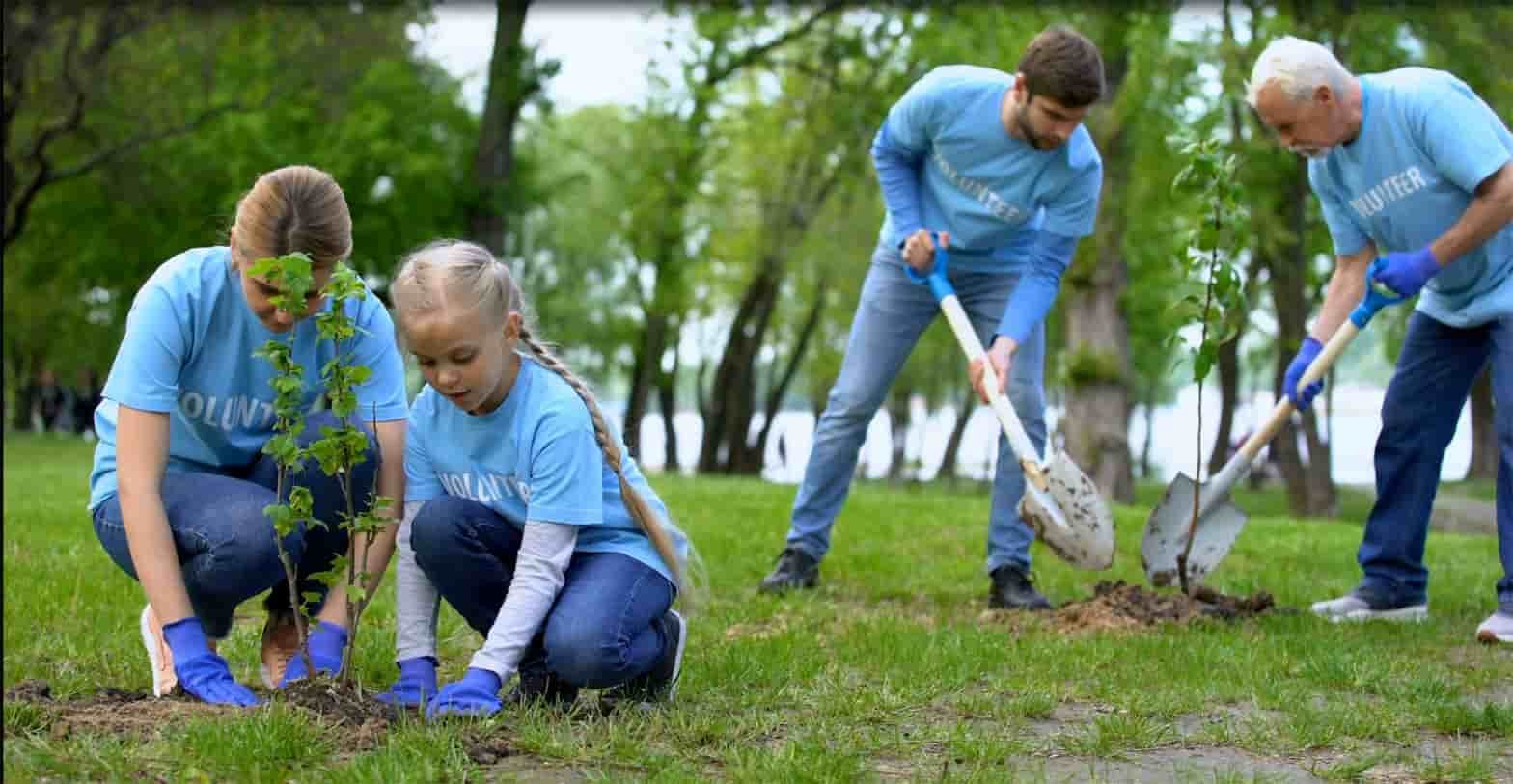 Donation for Planted Trees